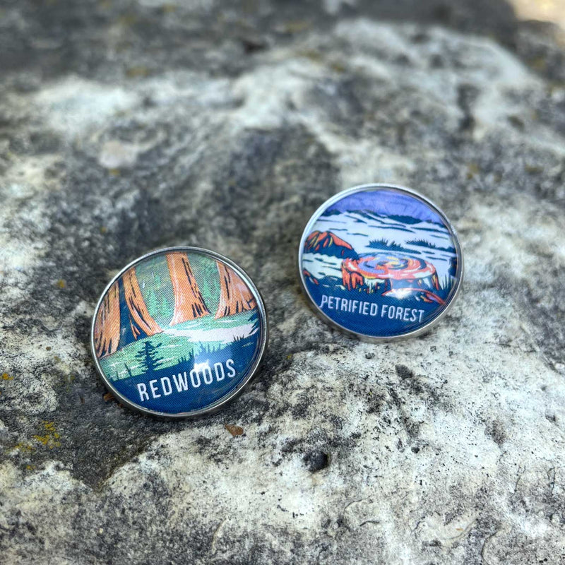 U.S. National Parks Glass Pinback Buttons, Lapel Pins – Redwoods, Petrified Forest